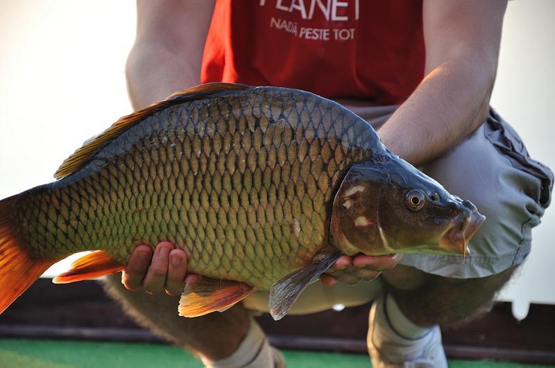 Laguna Verde - dsc4404.jpg